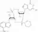 Fig. 33 - Cyclic di-nucleotide compounds and methods of use