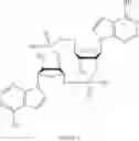 Fig. 331 - Cyclic di-nucleotide compounds and methods of use