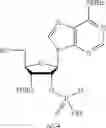 Fig. 341 - Cyclic di-nucleotide compounds and methods of use