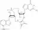 Fig. 355 - Cyclic di-nucleotide compounds and methods of use
