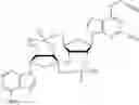 Fig. 367 - Cyclic di-nucleotide compounds and methods of use