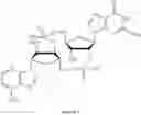 Fig. 375 - Cyclic di-nucleotide compounds and methods of use