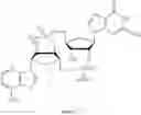 Fig. 397 - Cyclic di-nucleotide compounds and methods of use