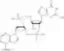 Fig. 490 - Cyclic di-nucleotide compounds and methods of use