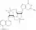 Fig. 528 - Cyclic di-nucleotide compounds and methods of use