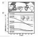 Fig. 09 - Miniature protein scaffolds and methods for use thereof