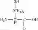 Fig. 02 - Cyclic peptide, affinity chromatography support, labeled antibody, antibody drug conjugate, and pharmaceutical preparation