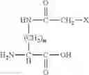 Fig. 07 - Cyclic peptide, affinity chromatography support, labeled antibody, antibody drug conjugate, and pharmaceutical preparation