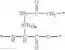 Fig. 08 - Cyclic peptide, affinity chromatography support, labeled antibody, antibody drug conjugate, and pharmaceutical preparation