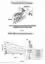 Fig. 03 - Polypeptides capable of inhibiting the binding between leptin and Neuropilin-1