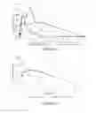 Fig. 03 - Compounds, compositions and uses thereof for improvement of bone disorders