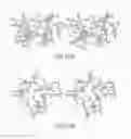 Fig. 22 - FIBROBLAST GROWTH FACTOR MUTANTS HAVING IMPROVED FUNCTIONAL HALF-LIFE AND METHODS OF THEIR USE