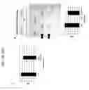 Fig. 28 - Methods and compositions for producing a chimeric polypeptide