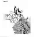 Fig. 03 - BROADLY NEUTRALIZING HUMAN ANTIBODY THAT RECOGNIZES THE RECEPTOR-BINDING POCKET OF INFLUENZA HEMAGGLUTININ