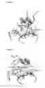 Fig. 07 - BROADLY NEUTRALIZING HUMAN ANTIBODY THAT RECOGNIZES THE RECEPTOR-BINDING POCKET OF INFLUENZA HEMAGGLUTININ