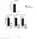 Fig. 08 - Humanized anti-DKK2 antibody and uses thereof