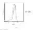 Fig. 22 - Humanized anti-DKK2 antibody and uses thereof