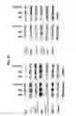 Fig. 19 - Antibodies to endoplasmin and their use