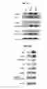 Fig. 20 - Antibodies to endoplasmin and their use