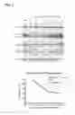 Fig. 10 - Single domain antibodies capable of modulating BACE activity