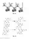 Fig. 02 - Ferroelectric polymers from dehydrofluorinated PVDF