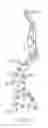 Fig. 04 - Viscosifying proppants for use in carbon dioxide-based fracturing fluids and methods of making and use thereof