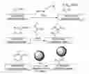 Fig. 02 - Cell culturing article and method for manufacturing thereof