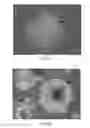 Fig. 08 - Cell culturing article and method for manufacturing thereof