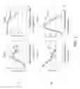 Fig. 02 - Manufacturing of alkaline phosphatases