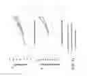 Fig. 33 - Manufacturing of alkaline phosphatases
