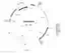 Fig. 02 - EXPRESSION OF RECOMBINANT BETA-XYLOSIDASE ENZYMES