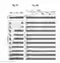 Fig. 06 - Method for editing plant mitochondrial genome