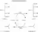 Fig. 02 - PROCESS FOR THE PRODUCTION OF CARBOHYDRATE CLEAVAGE PRODUCTS FROM A LIGNOCELLULOSIC MATERIAL