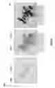 Fig. 08 - Method integrating fracture and reservoir operations into geomechanical operations of a wellsite