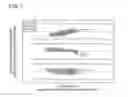 Fig. 08 - Method of detecting damage of wind turbine blade, and wind turbine
