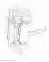 Fig. 09 - Rope arrest-and-release device for use on utility poles