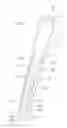Fig. 02 - Illuminating tweezers