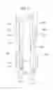 Fig. 08 - Illuminating tweezers