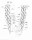 Fig. 17 - Illuminating tweezers