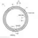 Fig. 01 - Multiply-wound tube, method of manufacturing multiply-wound tube, and device for manufacturing multiply-wound tube