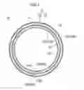 Fig. 02 - Multiply-wound tube, method of manufacturing multiply-wound tube, and device for manufacturing multiply-wound tube