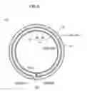 Fig. 09 - Multiply-wound tube, method of manufacturing multiply-wound tube, and device for manufacturing multiply-wound tube