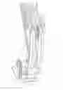 Fig. 08 - Archery bow with wide ratio limb