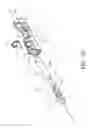 Fig. 09 - Weapon sight light emission system