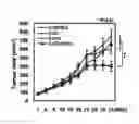 Fig. 01 - Composition for anticancer adjuvant comprising RIP3 expression promoter as active ingredient, method for screening anticancer adjuvant which promotes RIP3 expression and enhances sensitivity of anticancer agent, and method for monitoring sensitivity of anticancer agent