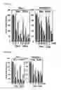 Fig. 04 - Composition for anticancer adjuvant comprising RIP3 expression promoter as active ingredient, method for screening anticancer adjuvant which promotes RIP3 expression and enhances sensitivity of anticancer agent, and method for monitoring sensitivity of anticancer agent