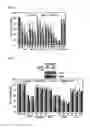 Fig. 06 - Composition for anticancer adjuvant comprising RIP3 expression promoter as active ingredient, method for screening anticancer adjuvant which promotes RIP3 expression and enhances sensitivity of anticancer agent, and method for monitoring sensitivity of anticancer agent