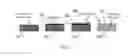 Fig. 02 - Reflective optical element with high stiffness substrate