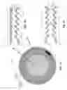 Fig. 02 - Ophthalmic device including liquid crystal alignment features