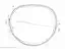 Fig. 01 - Adjustable focus spectacles with non-circular lenses